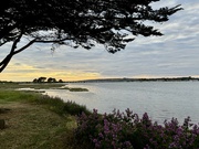 1st Jul 2024 - Langstone Quays