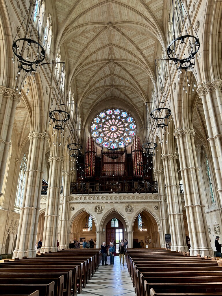 Arundel Cathedral by gillian1912