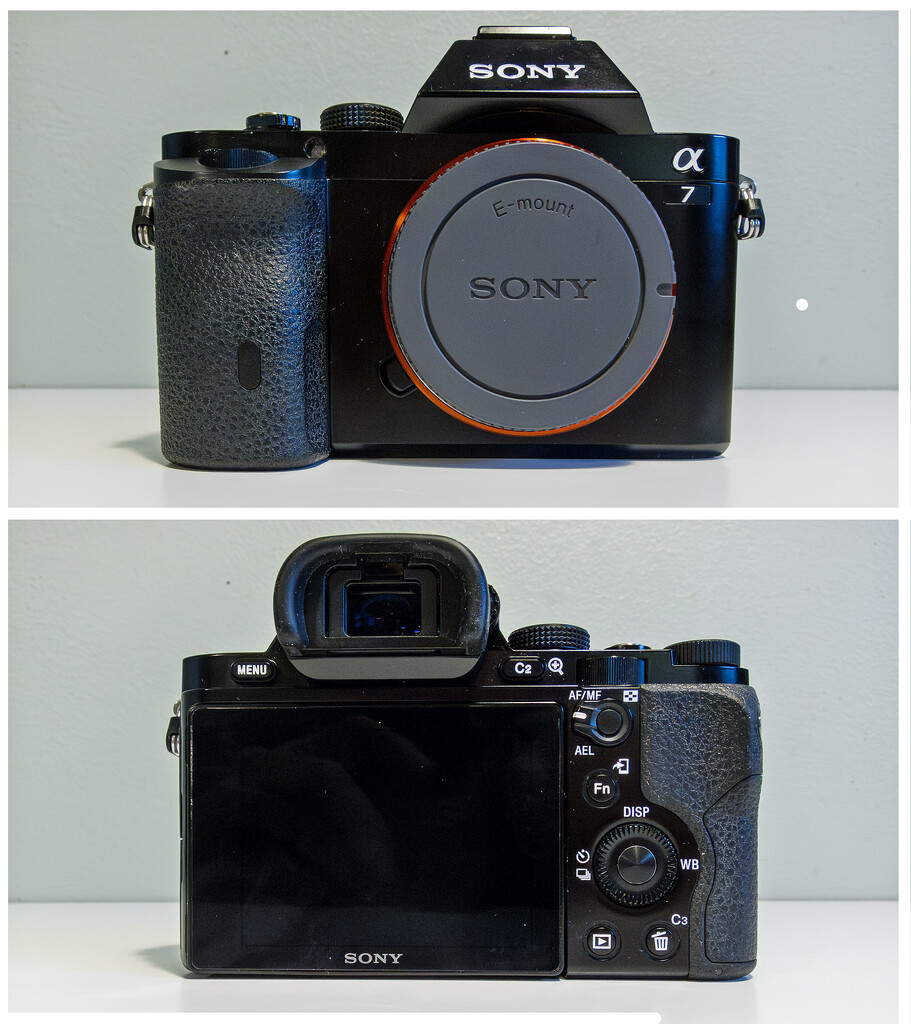 Sony A7 Mk 1 by helstor365