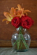 6th Jul 2024 - Roses And Day Lilies 