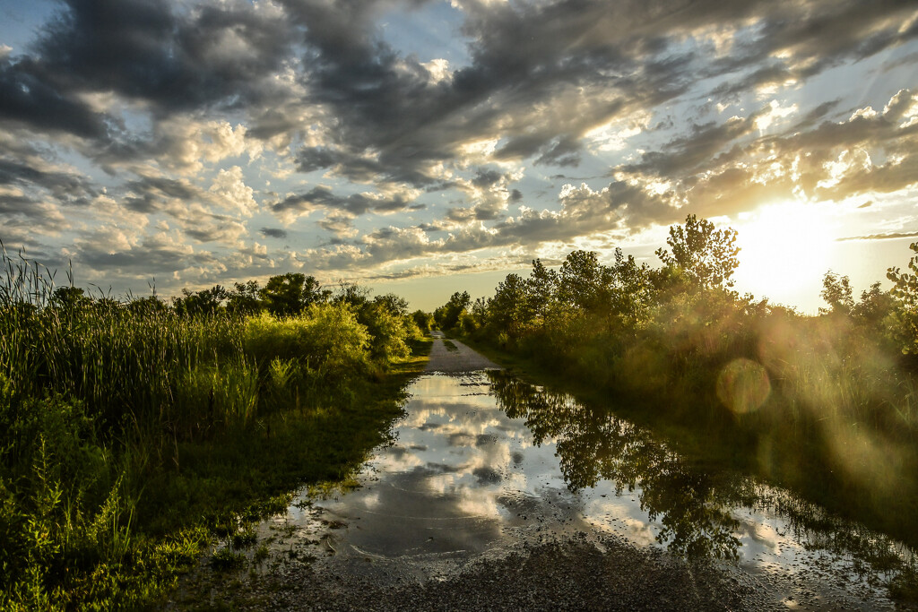 Baker Wetlands on July 4th by kareenking