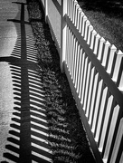 6th Jul 2024 - Fence Shadows