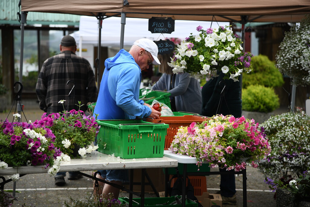 Flower Seller by horter