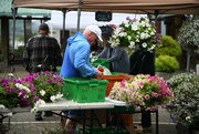 29th Jun 2024 - Flower Seller