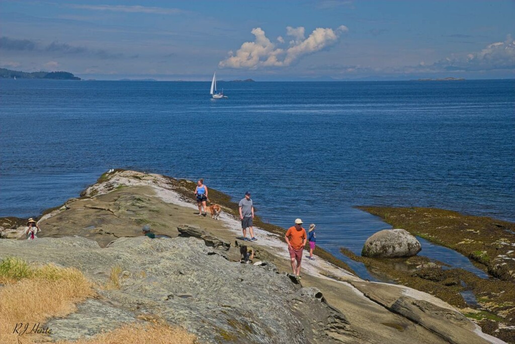 Gabriola Island Galleries 1 by horter