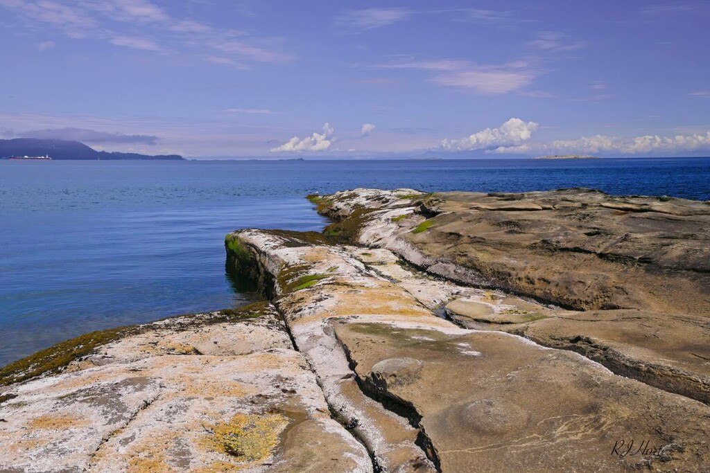 Gabriola Island 5 by horter