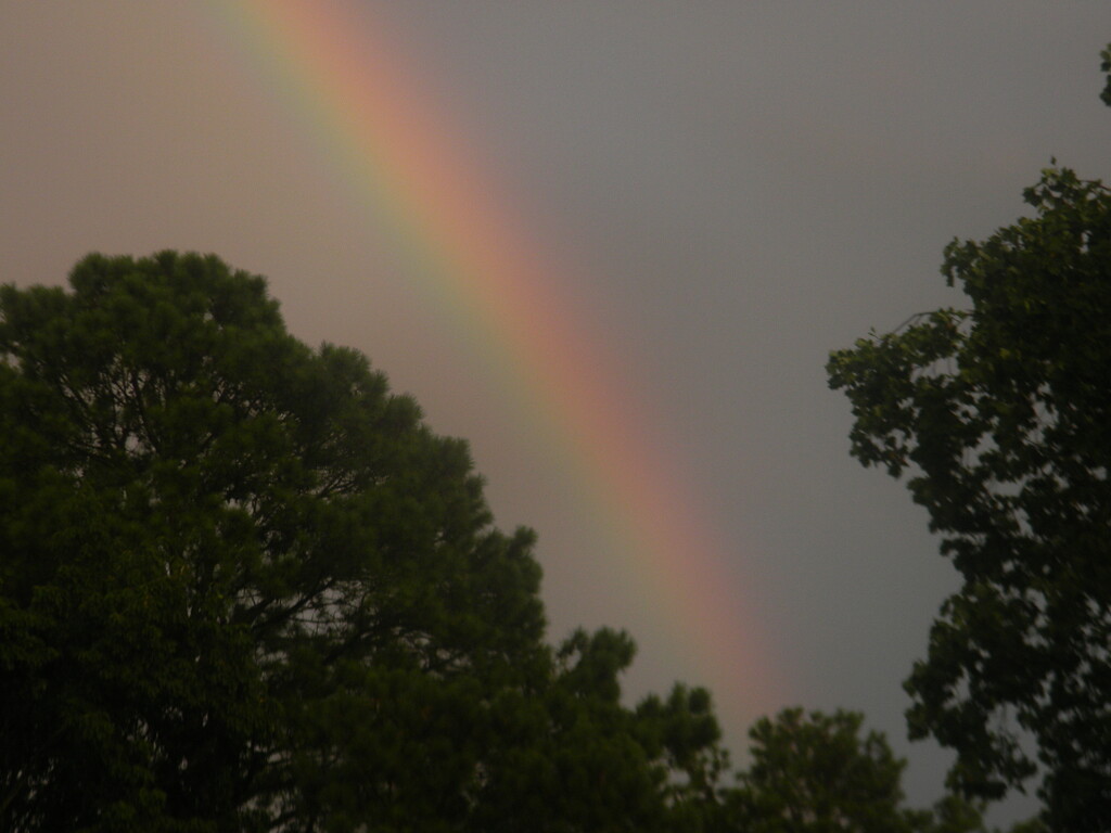 Rainbow  by sfeldphotos