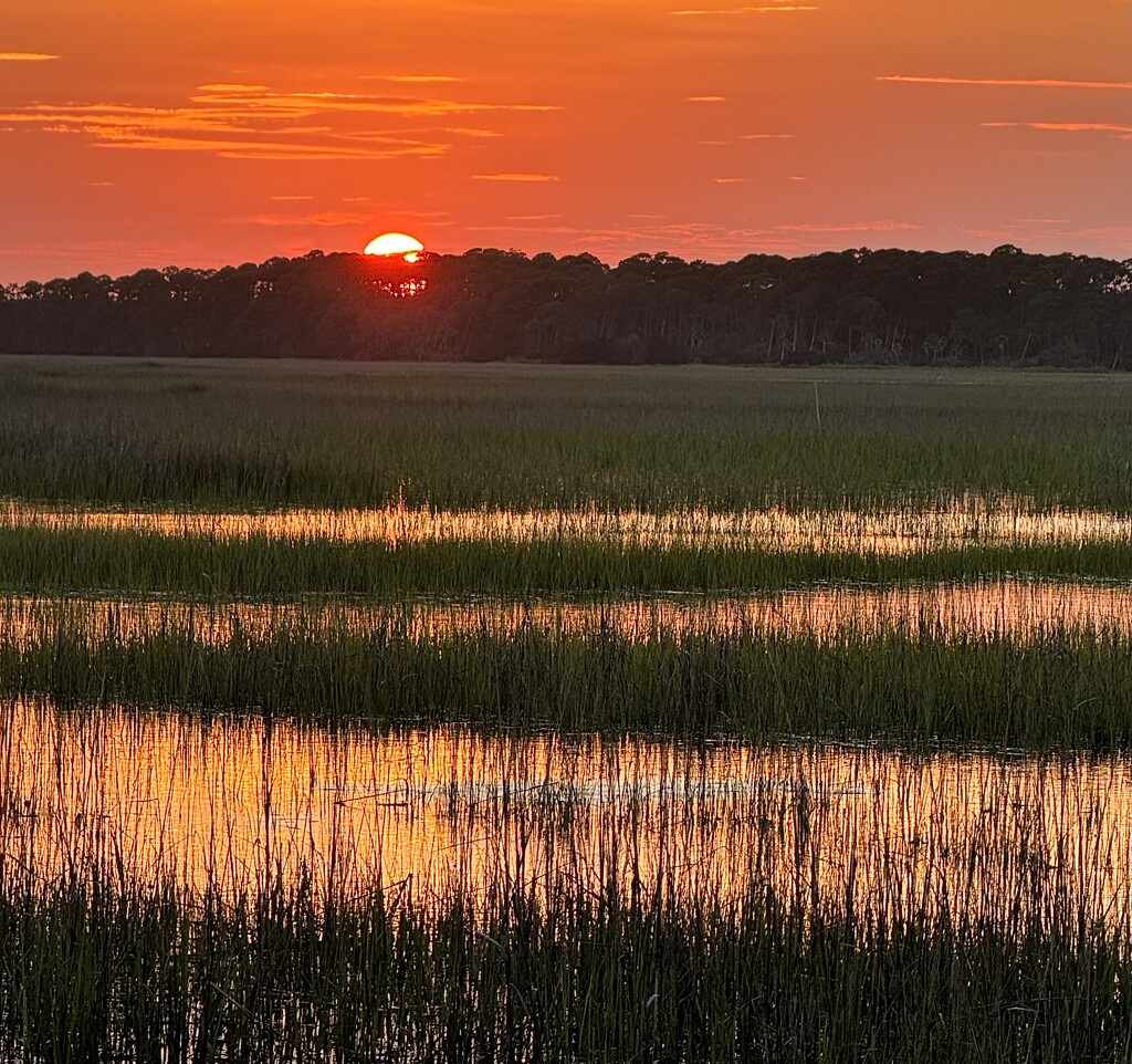 Marsh sunset  by congaree