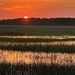 Marsh sunset 