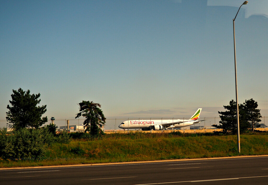 a plane prepares to taxi off by summerfield