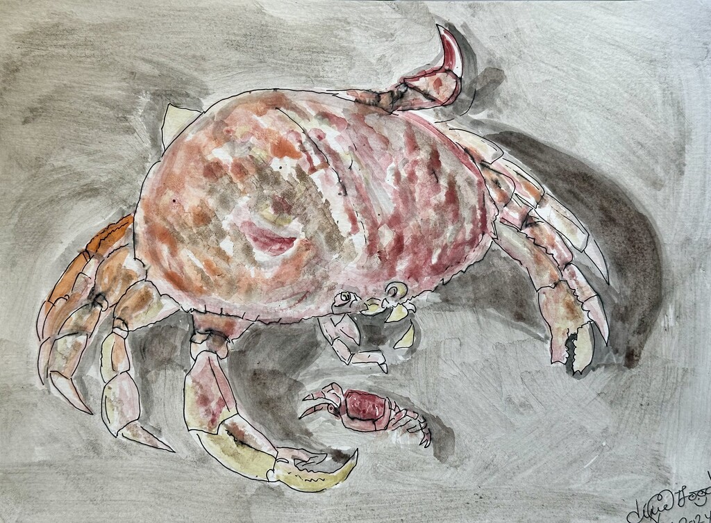 Crabby day as a painting  by pandorasecho