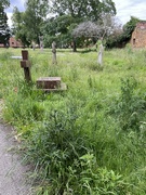 11th Jun 2024 - Overgrown...