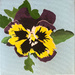 Pansy (painting)