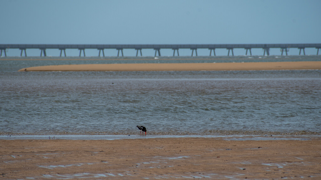 Low Tide by nannasgotitgoingon