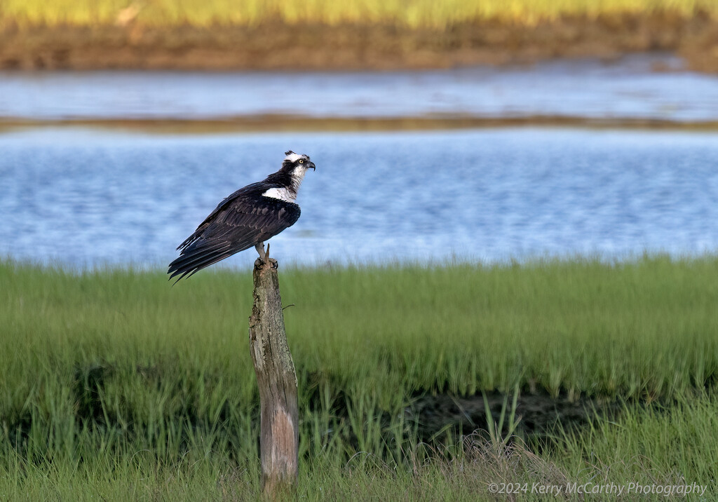 Taking a break by mccarth1