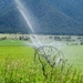 Irrigating