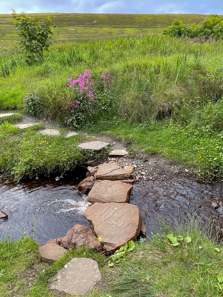 Stepping Stones by lifeat60degrees