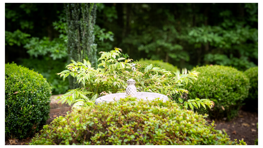 Just a bird feeder  by robgarrett