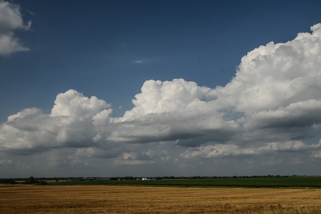 The Lone Prairie by kareenking