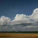 The Lone Prairie by kareenking