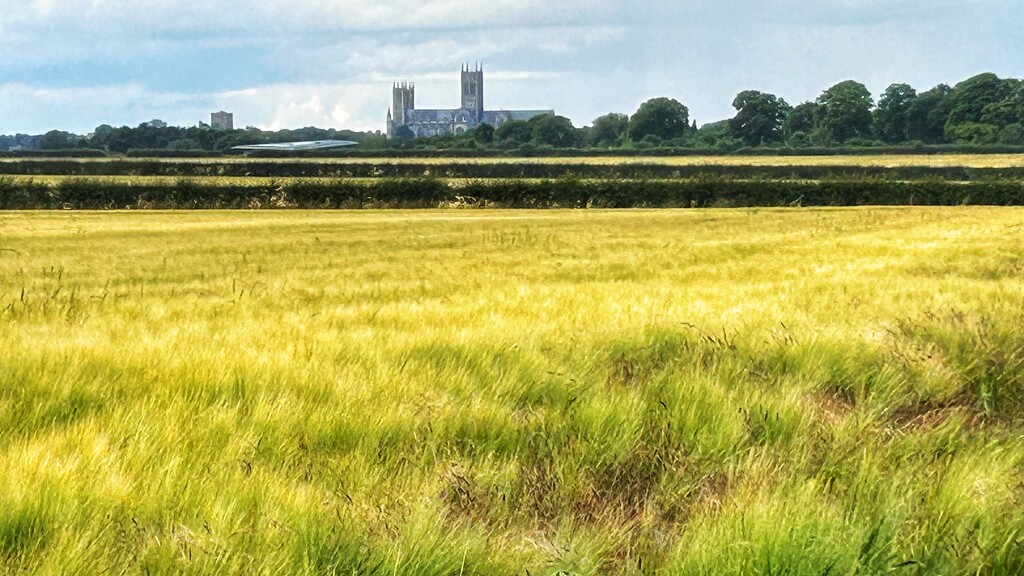 Across the fields by carole_sandford