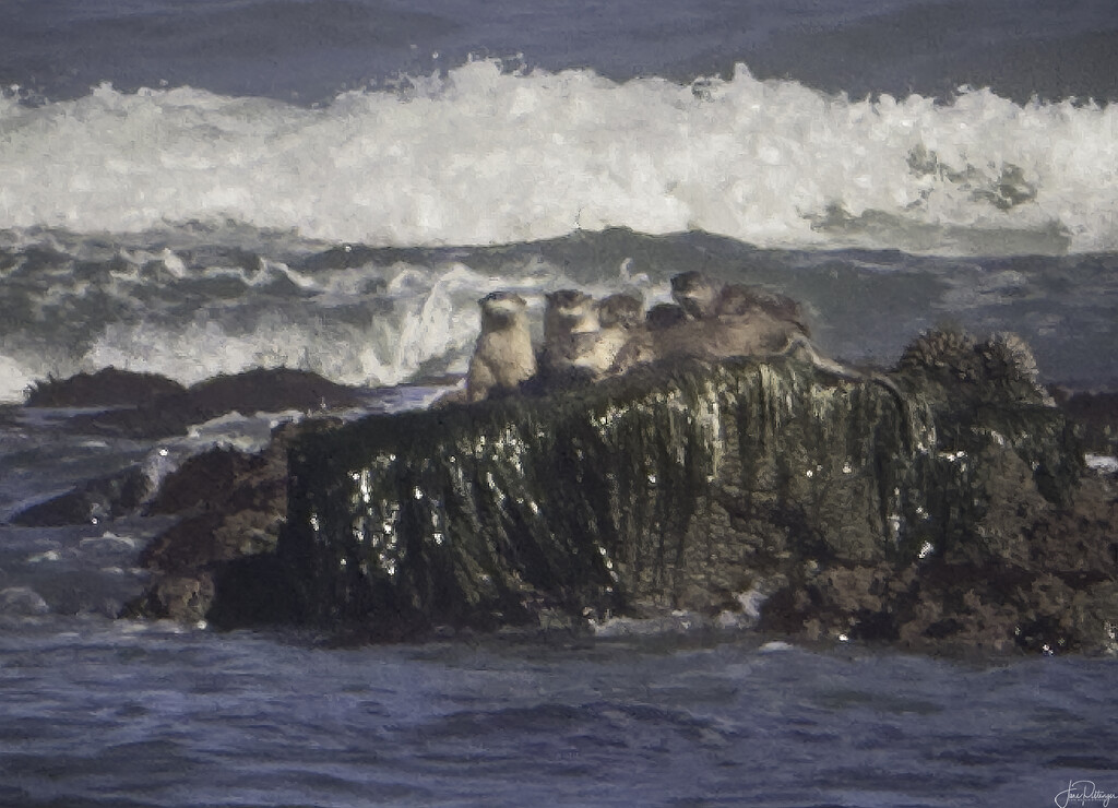 Baby River Otters by jgpittenger