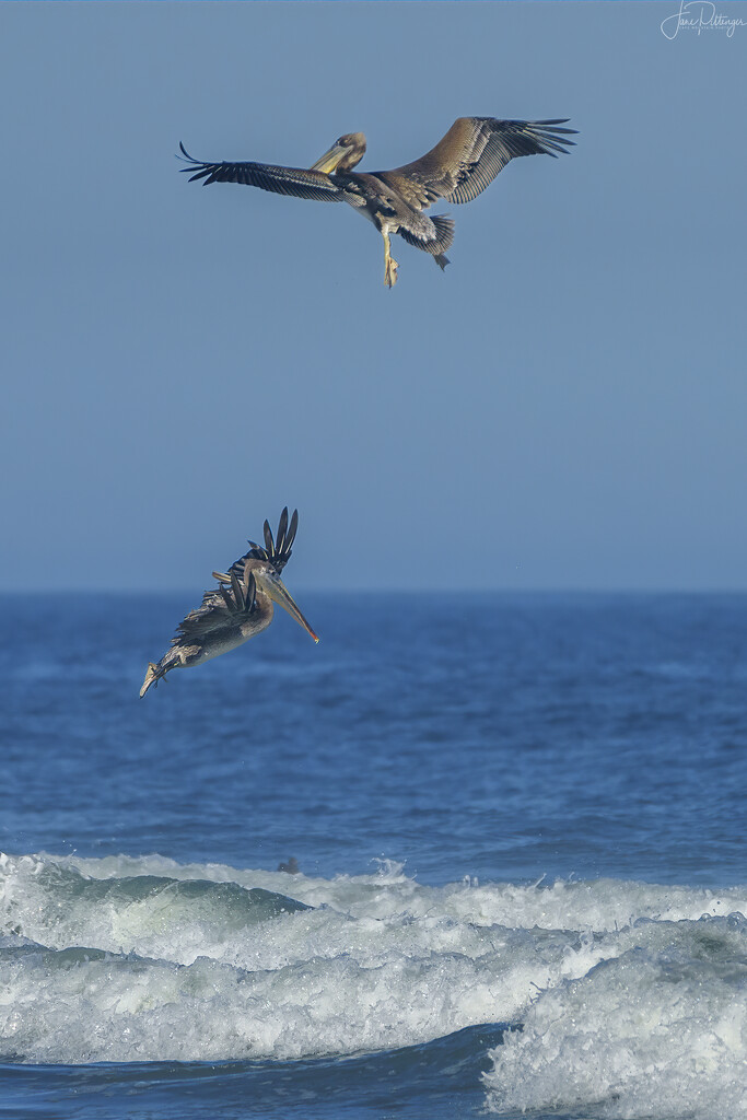 Landing Gear Down by jgpittenger