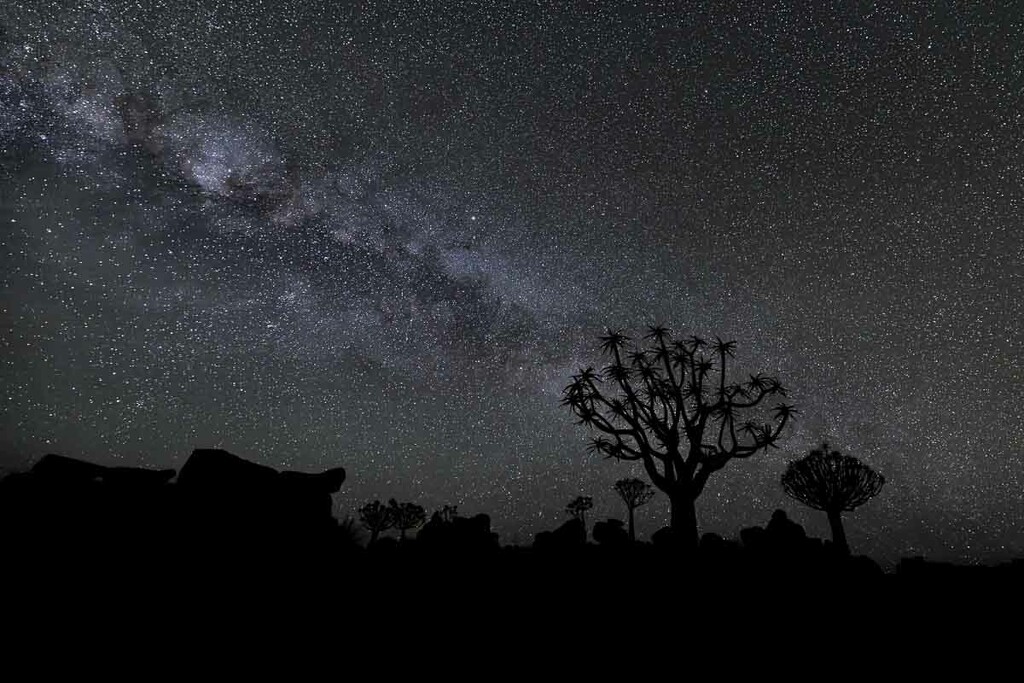 Milky Way Over the Quiver Trees by jyokota