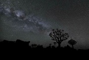 19th Jun 2024 - Milky Way Over the Quiver Trees