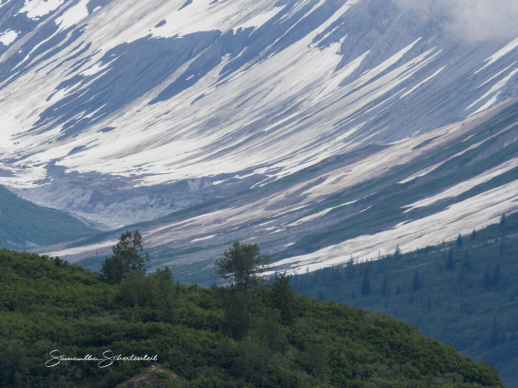 Sweeping lines by sschertenleib