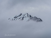 27th Jun 2024 - Misty Mountain