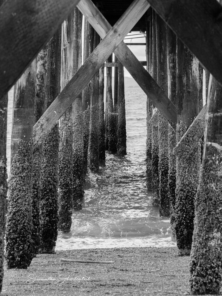 Under the pier by sschertenleib