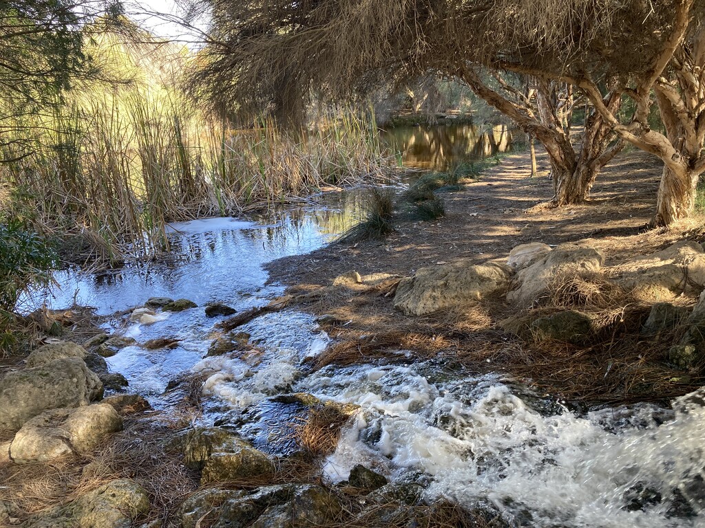 Booyeembara Park by narayani