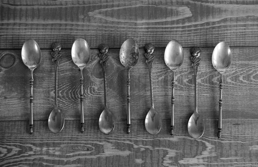 Spoons by brigette