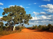 1st Jul 2024 - The road north