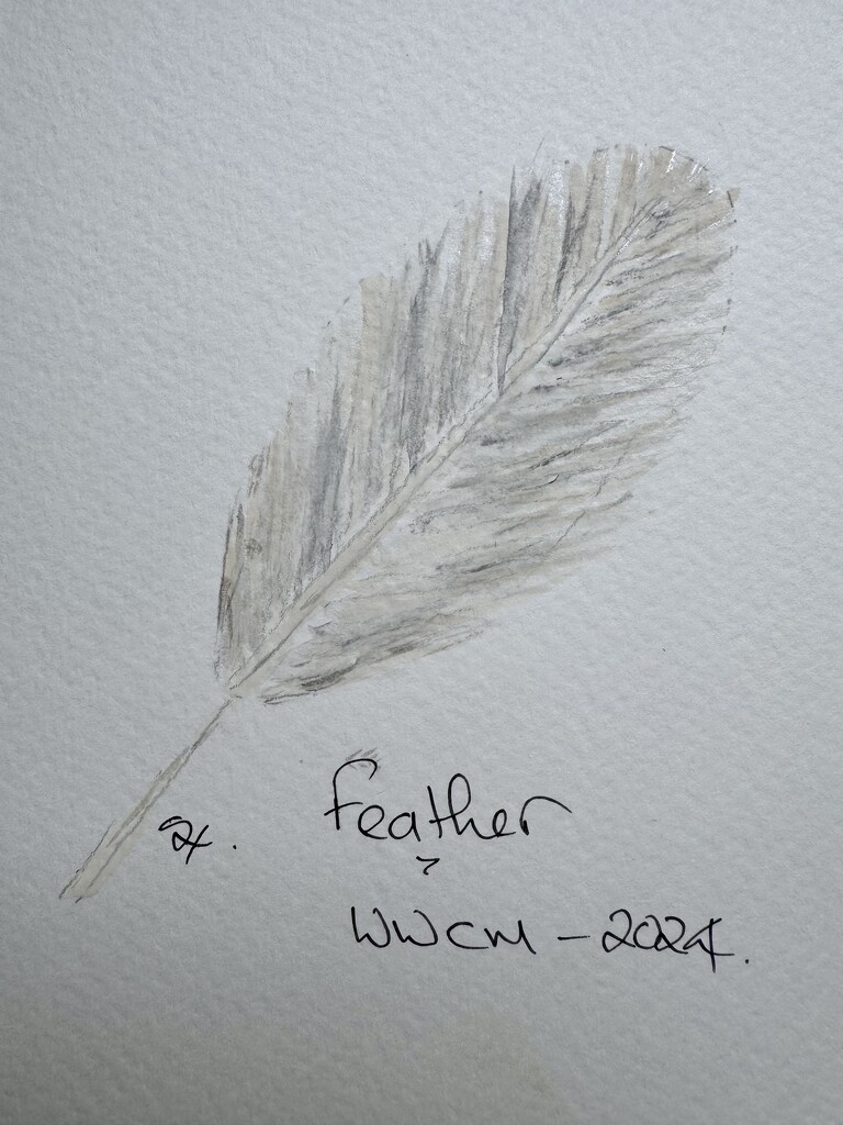 Feather by wakelys