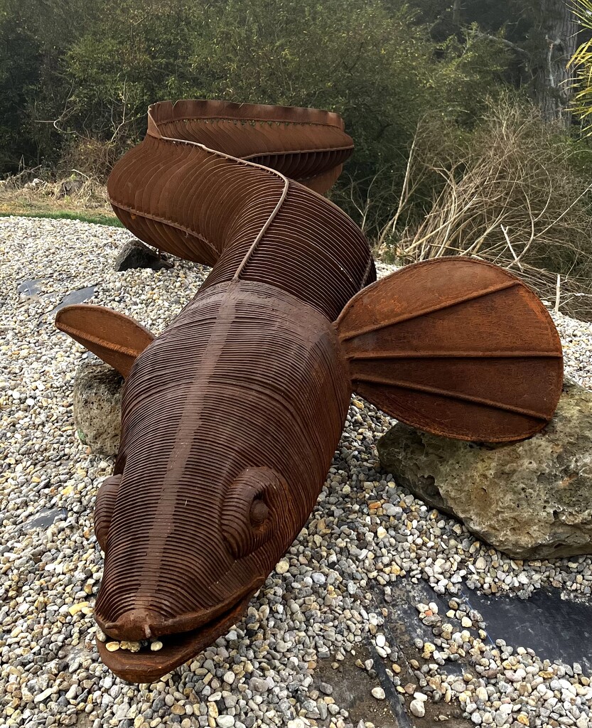 Longfin Sculpture  by dide