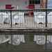 CANAL REFLECTIONS. by derekskinner