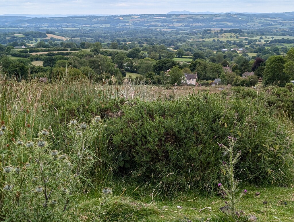 CLEE HILL VIEW. by derekskinner