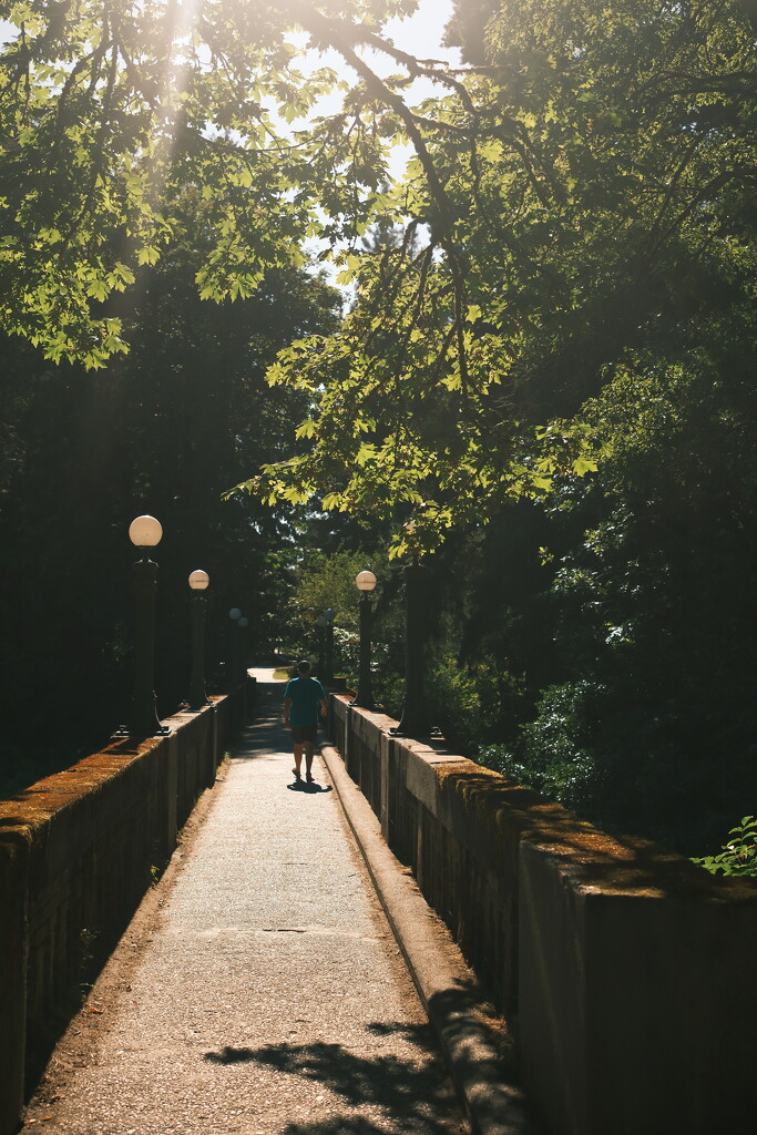 Washington park arboretum  by josharp186