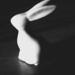 Bunny B&W 1 by mdry