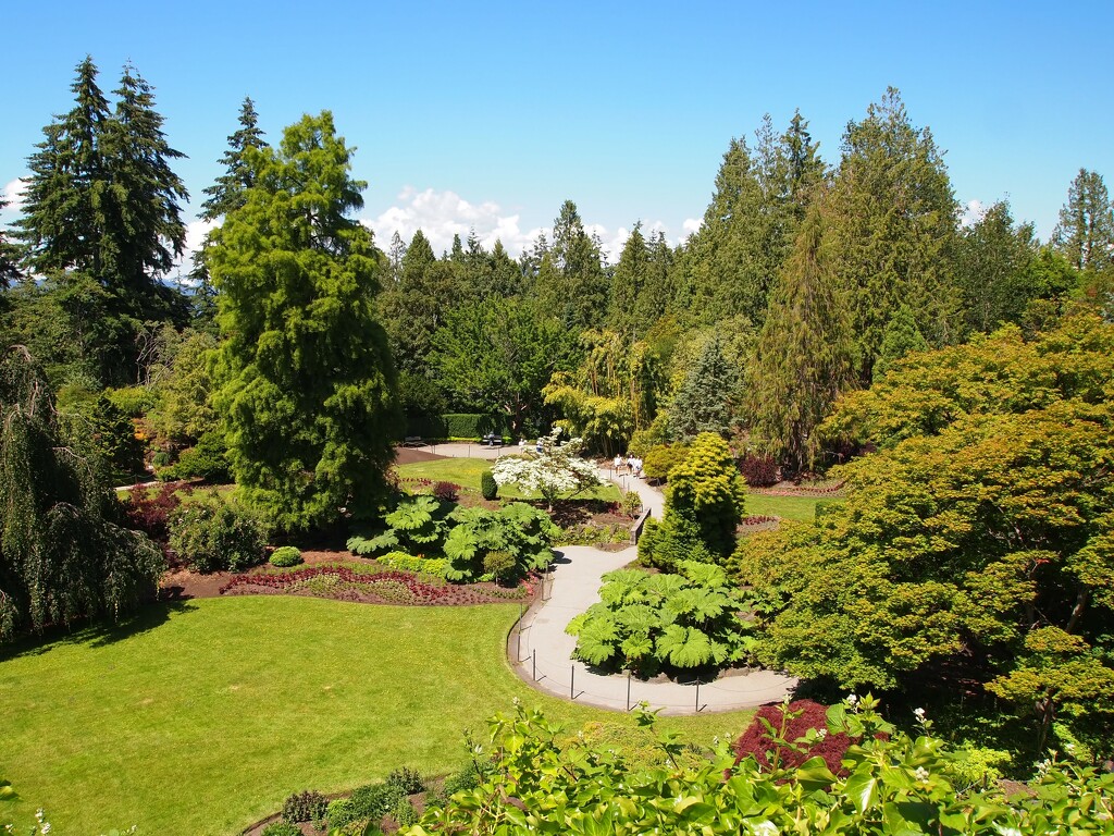 Queen Elizabeth Park by blueberry1222