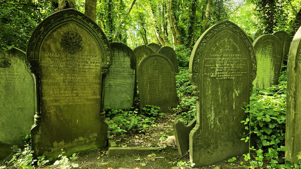 190/366 - Wardsend Cemetery  by isaacsnek