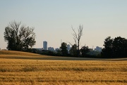 24th Jun 2024 - Country View and City View