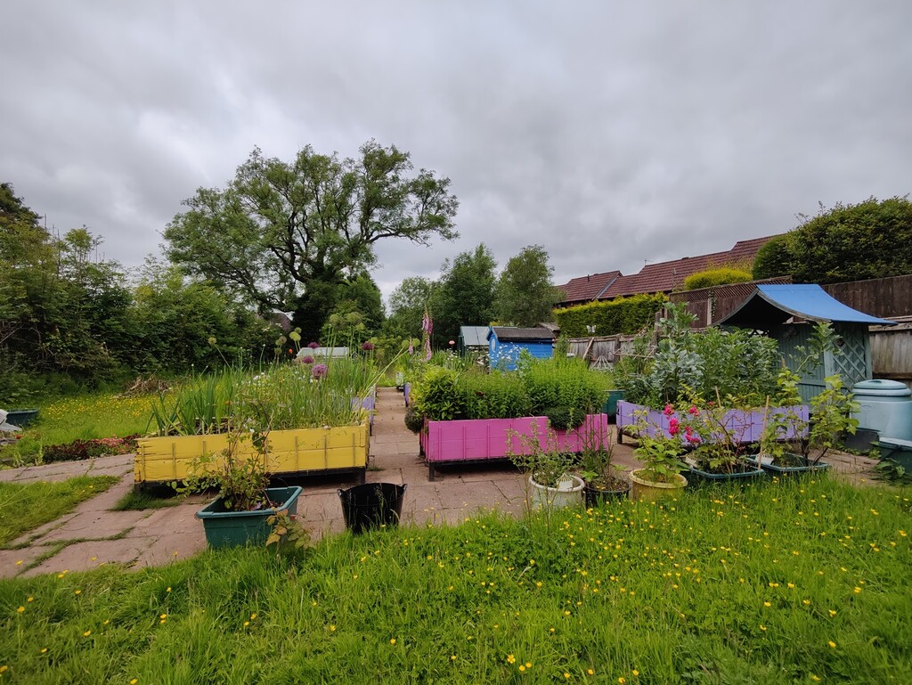 A community garden by roachling