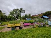 18th Jun 2024 - A community garden