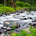 Rushing Waters of the Forest Stream by veronicalevchenko