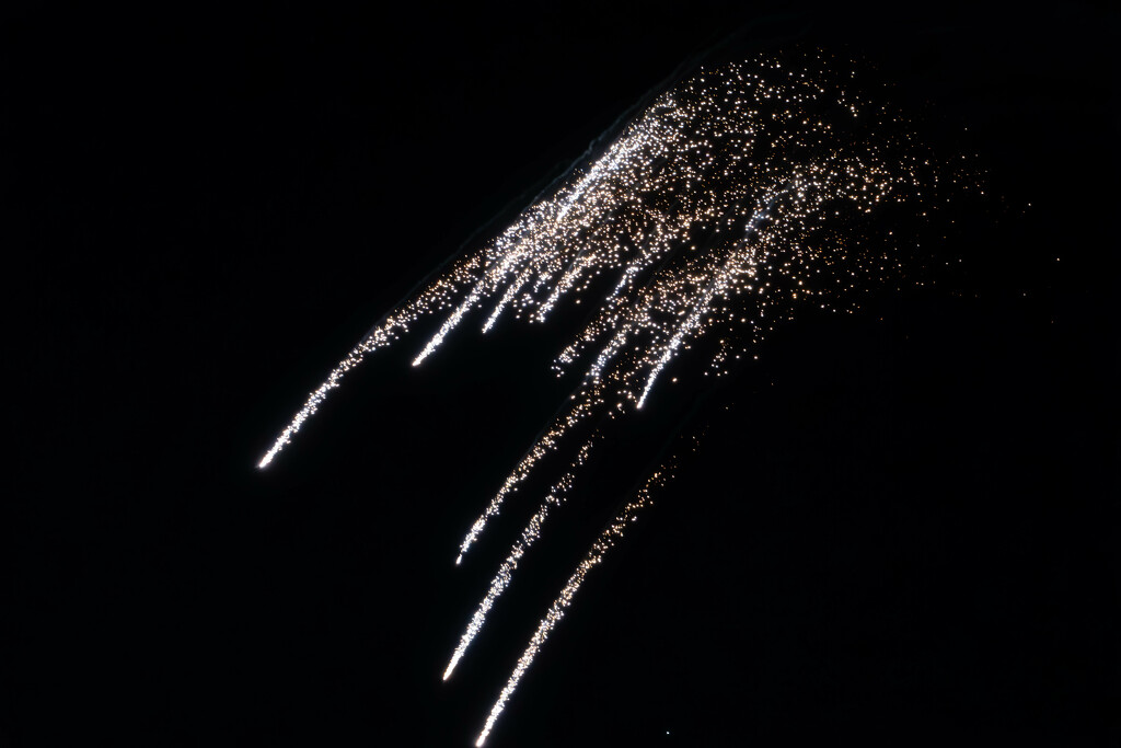 Willow Firework Cascade by veronicalevchenko