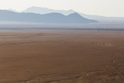 22nd Jun 2024 - Zebras in Namib Rand