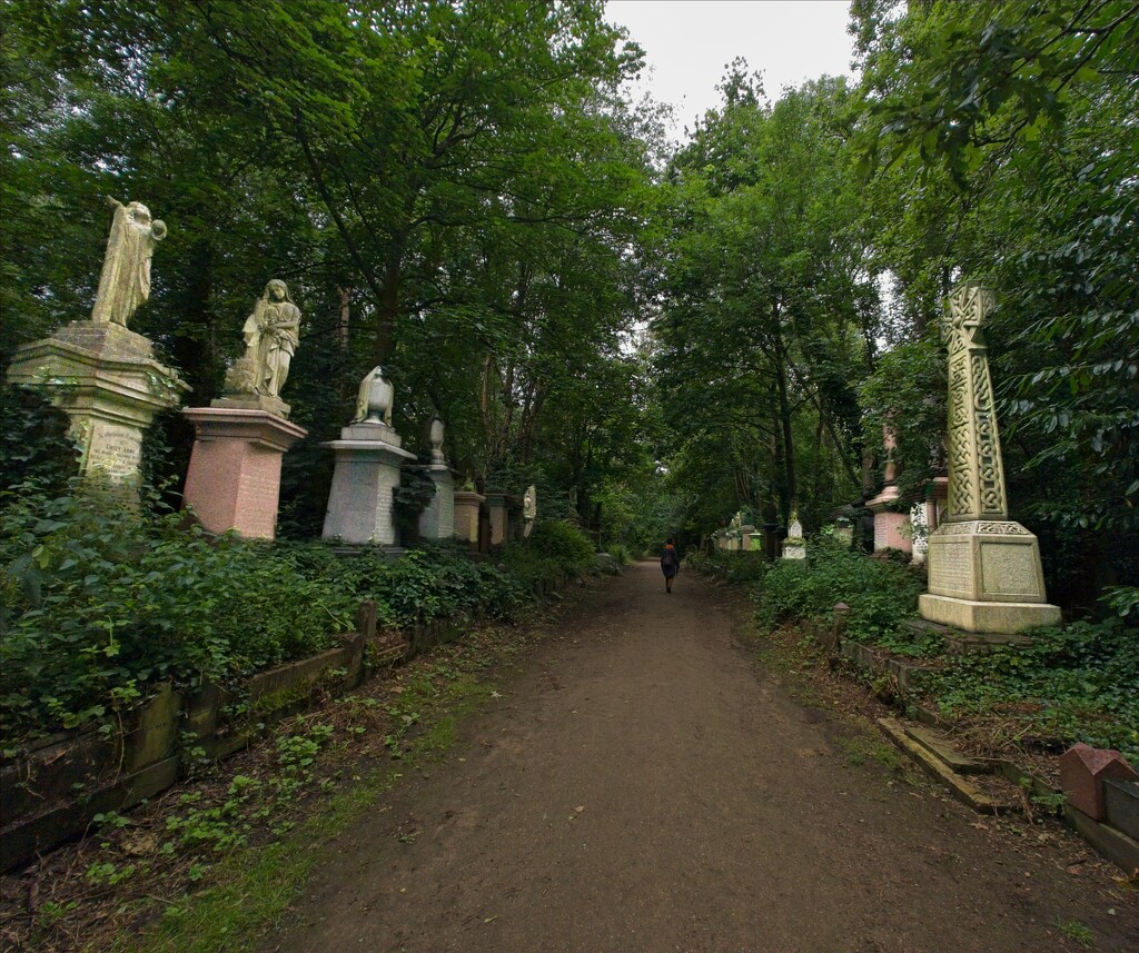 Abney Park Cemetery by billyboy